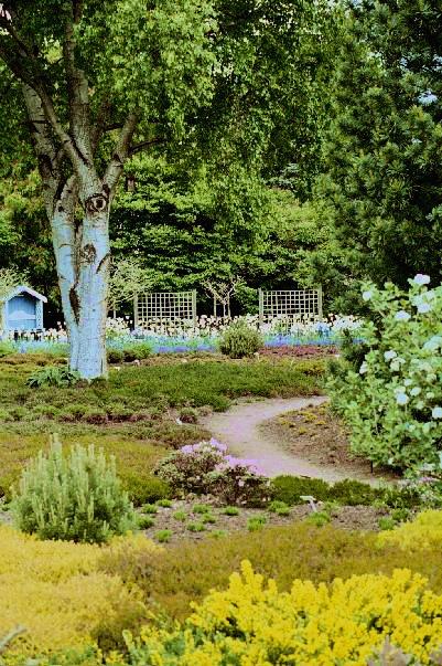 arboretum.jpg